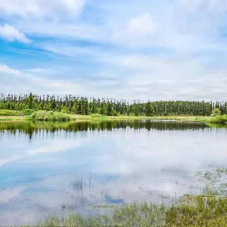 Silkeborg 11 Denmark Silkeborg